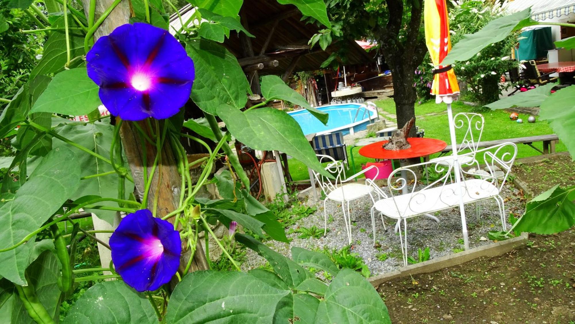Ferienhaus-Roemerthurm Schöder Kültér fotó